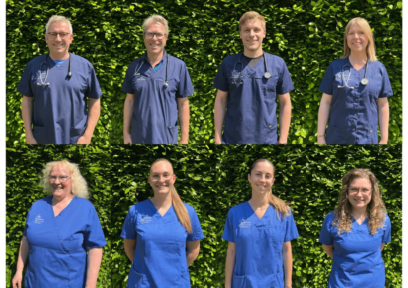 L’équipe de la clinique Rexpovet : vétérinaires et auxiliaires