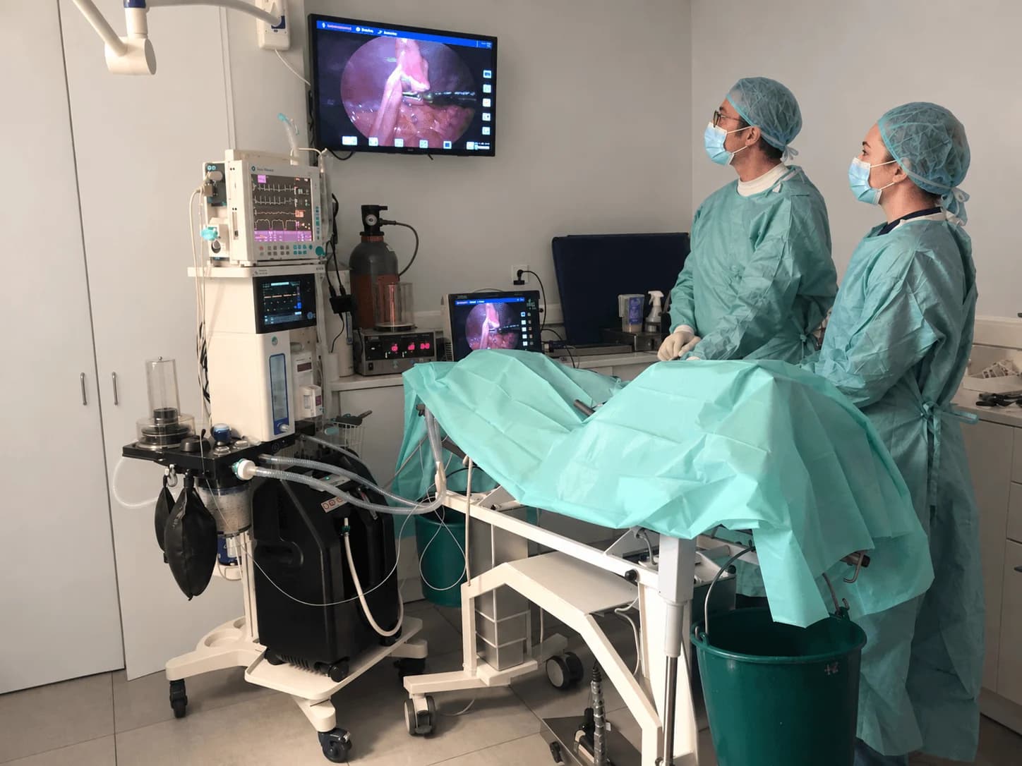 Deux vétérinaires pendant une laparoscopie